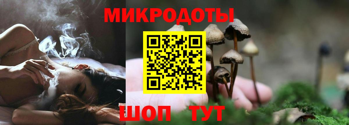 Галлюциногенные грибы мухоморы Серпухов