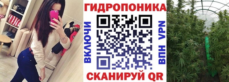 Бошки марихуана план  Серпухов 
